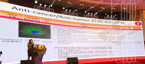 上卿臻盞創始人出席燕窩質量認證全球學術交流盛會，鞏固品牌在教育+服務行業的話語權